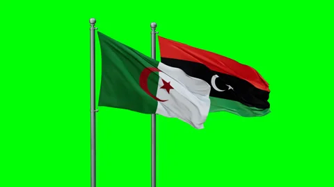 Libya and Algeria two flags Stock Footage 291179237