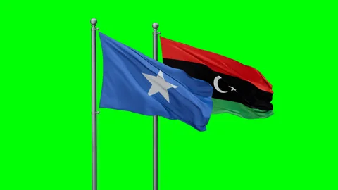 Libya and Somalia two flags Stock Footage 295107425