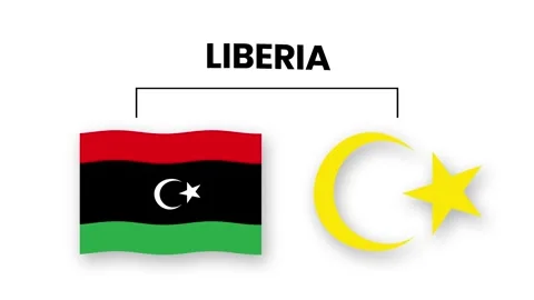 Libya animated video raising the flag and Emblem, introduction of the name .. Stock Footage 260526350