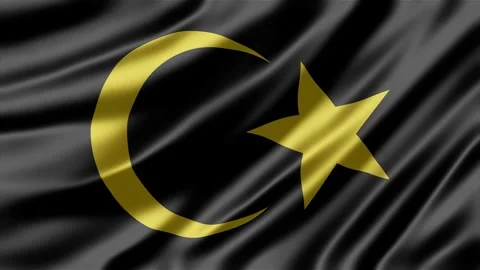Libya flag featuring golden crescent moon and star symbol waving Stock Footage 344041478