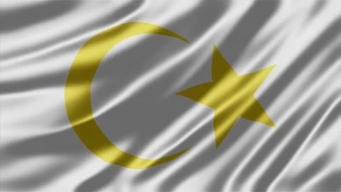 Libya flag featuring a golden crescent and star symbol waving in smooth moti Stock Footage 344041537