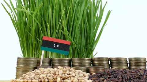 Libyan flag with stack of money coins and piles of wheat and rice seeds Stock Footage 71977249