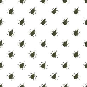 Lice bug insect parasite pattern seamless background Stock Illustration