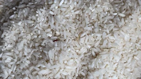 Lice on white rice grain Stock Footage 221303917
