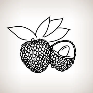 Lichee in the Contours Stock-Illustration