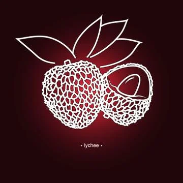Lichee in the Contours 스톡 일러스트