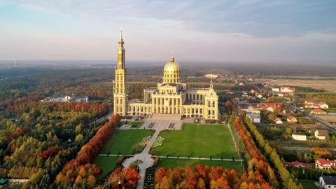 Lichen 0822 app Stock Footage 106332713