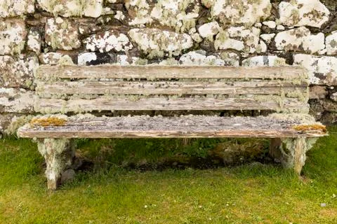 Lichen on Bench Stock Photos