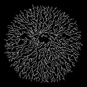 Lichen Form for Design Project - vector illustration Stock Illustration