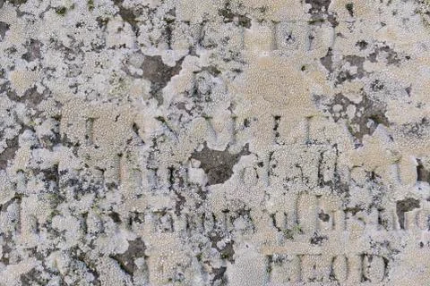 Lichen on Gravestone Stock Photos