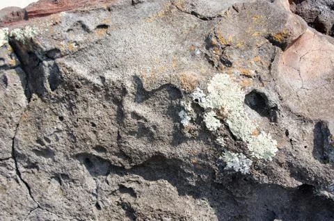 Lichen on old lava flow, Stock Photos