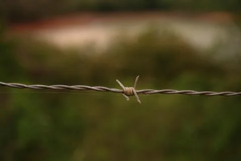 Lichen on  post with barbed wire Stock Photos