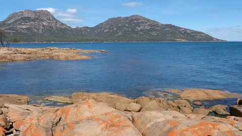 Lichen on Rocks at Coles Bay Stock Footage 119997628
