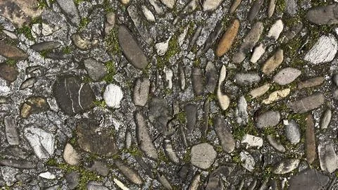 Lichen on stone Stock Photos