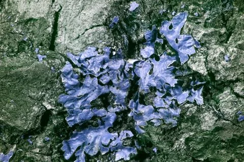 Lichen in ultraviolet Stock Photos