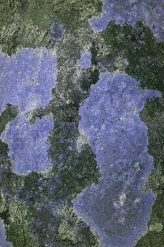 Lichen in UV Foto stock