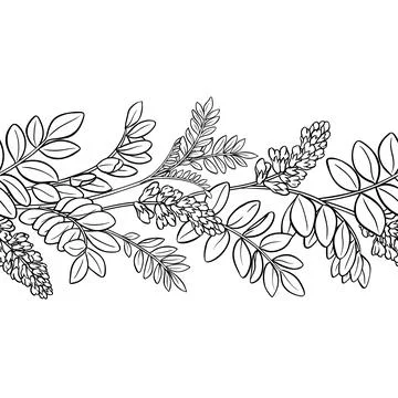 Licorice Outline Horizontal Seamless Pattern. Stock Illustration