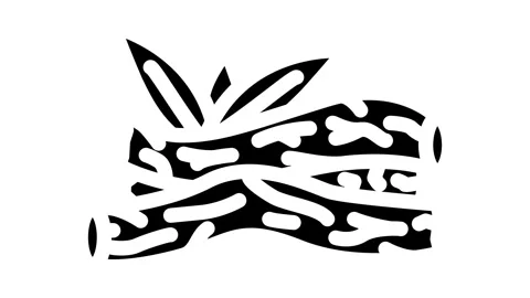 Licorice root ayurvedic herb glyph icon animation Stock Footage 326738643
