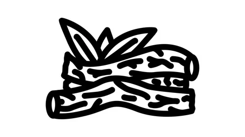 Licorice root ayurvedic herb line icon animation Stock Footage 326754151