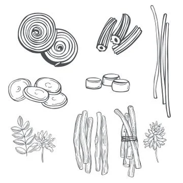 Licorice sweets. Vector   illustration. Stock Illustration