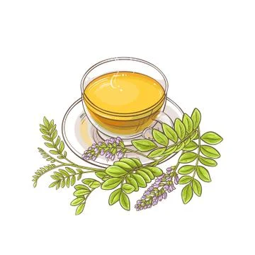 Licorice tea illustration Illustrazione stock