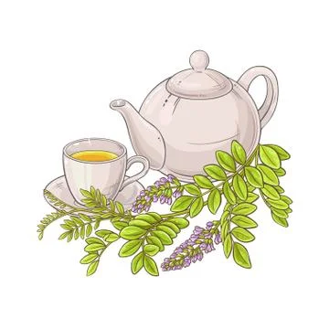 Licorice tea illustration Stock Illustration