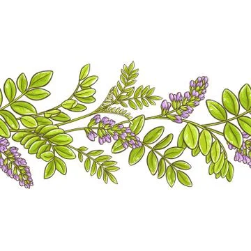 Licorice vector pattern Stock Illustration