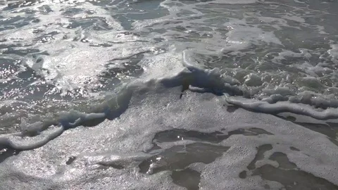 Lido Key Beach Stock Footage 122644643