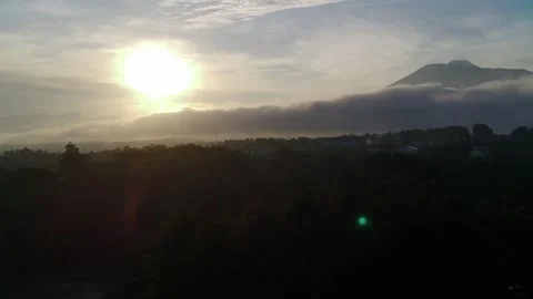 Lids1 Video stock 241209688