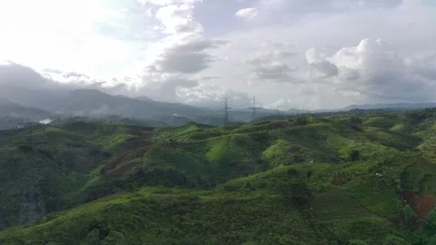 Lids3 Video stock 241209708