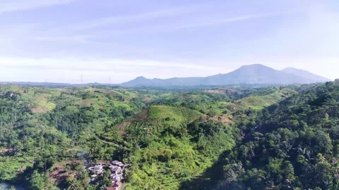 Lids5 Video stock 241209689