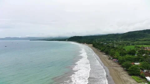 Lids6 Video stock 241209716