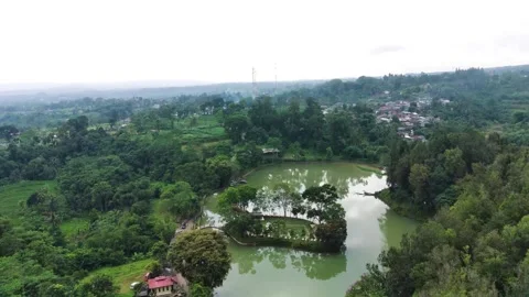 Lids7 Video stock 241209717