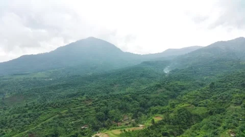 Lids8 Video stock 241209732