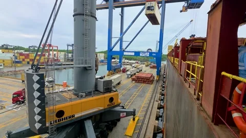 Liebherr Mobile Harbor Crane Loading Container onto Cargo Ship at Port of Stock Footage 343811787