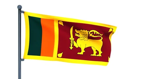 Liechtenstein Flag Stock Footage 150199368