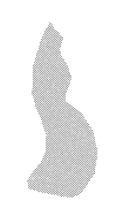 Liechtenstein map from particles, dots. Digital silhouette. Abstract animat.. Stock Footage 325214520
