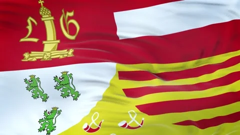 Liege flag waving in the wind with highly detailed fabric texture 動画素材 134903261