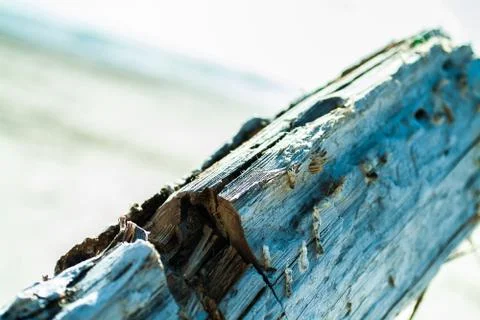 Liepaja Beach Log Stock Photos