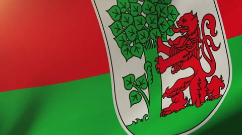 Liepaja flag waving in the wind. Looping sun rises style.  Animation loop Stock-Footage 48320604