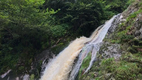 Lierbach River and All Saints (Allerheiligen) Waterfall Oppenau, Germany Stock Footage