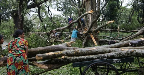 Life after cyclone affect Stock Footage 119766838