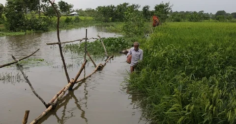 Life after cyclone affect Stock Footage 119772242