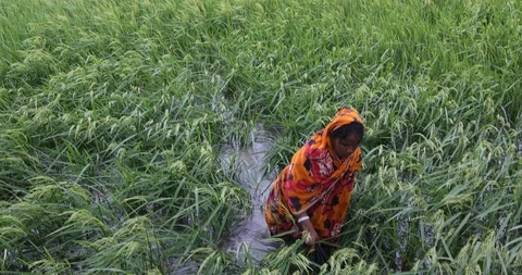Life after cyclone affect Stock Footage 119773532