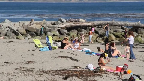 Life at the beach Stock Footage 4541563