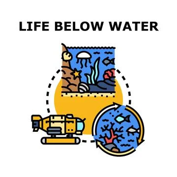 Life below water concept exploring marine ecosystem Stock Illustration