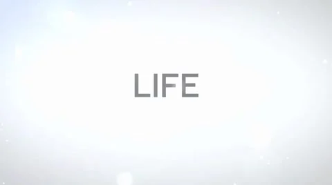 The Life Boat Stock After Effects