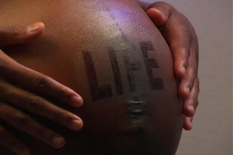 Life (close-up) Video stock 587258