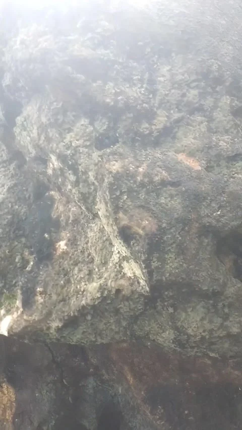 Life on the Crag Stock Footage 329919030