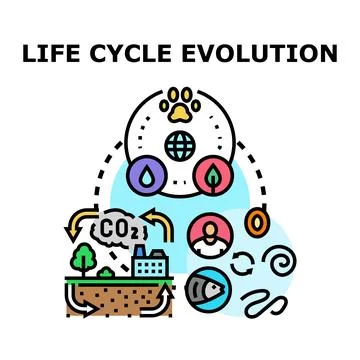 Life cycle evolution process creating ecosystem balance Stock Illustration
